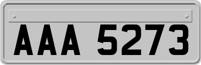 AAA5273