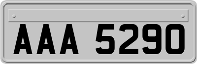 AAA5290