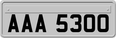 AAA5300