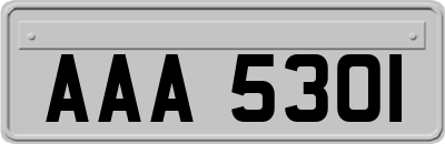 AAA5301