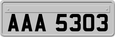 AAA5303