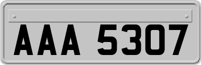 AAA5307