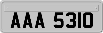 AAA5310