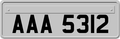 AAA5312