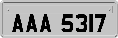 AAA5317