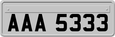 AAA5333