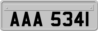 AAA5341