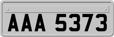 AAA5373