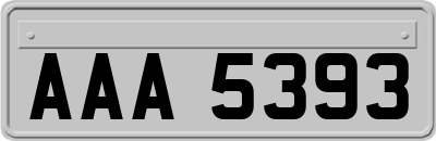 AAA5393