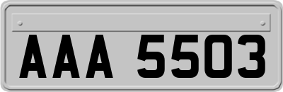 AAA5503