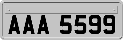 AAA5599