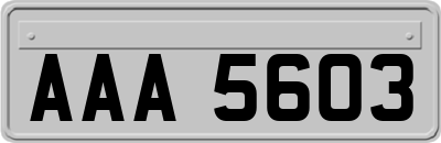 AAA5603