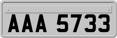 AAA5733