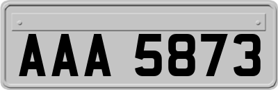 AAA5873