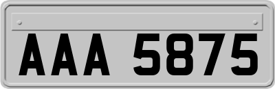 AAA5875