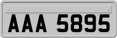 AAA5895