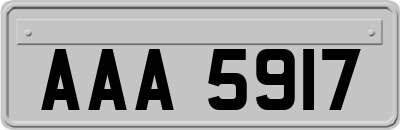 AAA5917