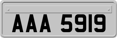 AAA5919