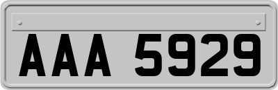 AAA5929