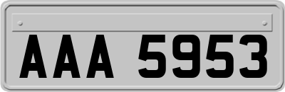 AAA5953