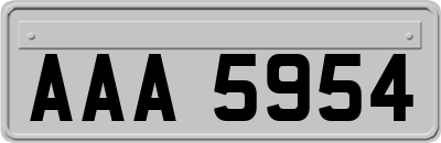 AAA5954