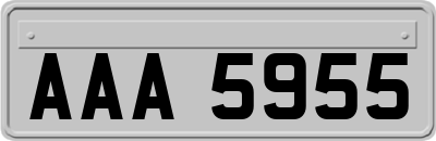 AAA5955