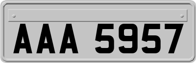 AAA5957