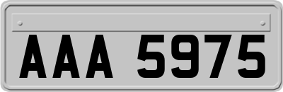 AAA5975