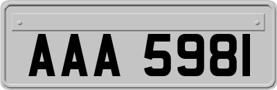 AAA5981