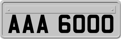 AAA6000