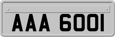 AAA6001