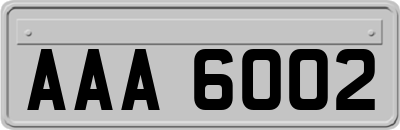 AAA6002