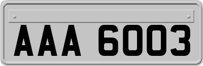 AAA6003