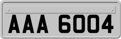 AAA6004