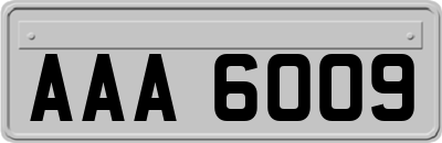 AAA6009