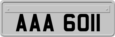 AAA6011