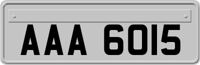 AAA6015