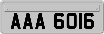 AAA6016