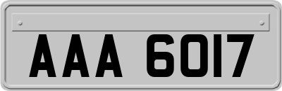 AAA6017