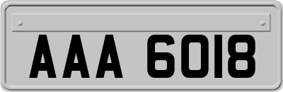 AAA6018