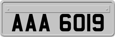 AAA6019