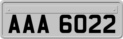 AAA6022