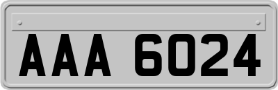 AAA6024