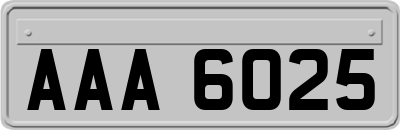 AAA6025