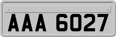 AAA6027