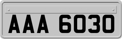 AAA6030