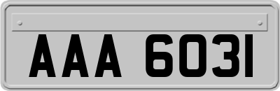 AAA6031