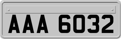 AAA6032