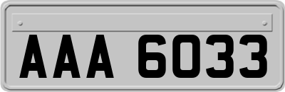 AAA6033