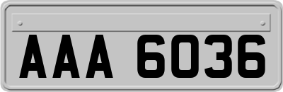 AAA6036